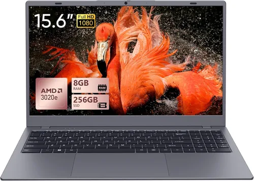 UOWAMOU 15.6 IPS-FHD-Laptop, 8GB RAM 256GB SSD AMD 3020e (hasta 2.6GHz), computadora tipo C de función completa para WiFi 5 BT5.0 para