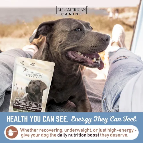 Miniatura 4 de All American Canine Ganador de peso para perros – Suplemento alimenticio para perros alto en calorías y proteína en polvo para un rápido aumento