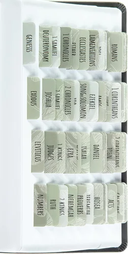 Miniatura 11 de Pestañas para la Biblia laminadas DiverseBee con resúmenes de libros (impresión grande, fácil de leer), pestañas personalizadas para diario bíblico