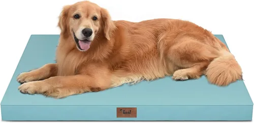Miniatura 79 de Cama ortopédica de felpa para perros y cachorros medianos, camas impermeables para perros de 30 x 20 pulgadas con funda extraíble lavable, tapete
