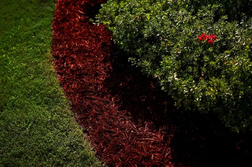 Tinte de mantillo rojo, cobertura de 3,200 pies cuadrados – Colorante de mantillo para paisajismo y camas de jardín, tinte de mantillo de madera,