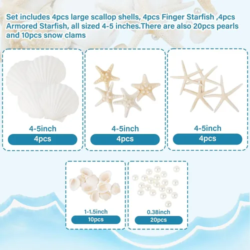Miniatura 2 de Conchas de mar grandes de 4 a 5 pulgadas, conchas marinas a granel para manualidades y decoración, decoración de boda para fiesta en la playa