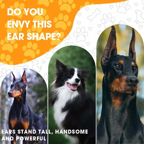 Miniatura 6 de Juego de 4 unidades de Doberman Oreja Kit para Doberman Pincher Samoyedo con 2 rollos adicionales de cintas para orejas de perro