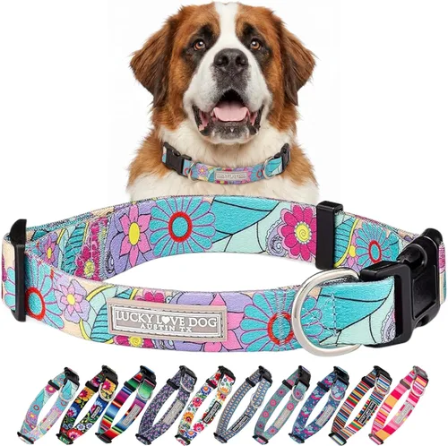 Miniatura 65 de Lucky Love Dog - Collar para perras pequeñas, diseño Blackbird de estampado alegre con flores de primavera y verano, talla XS