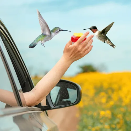 Miniatura 4 de 8 unidades de comedero de colibrí de mano para ventana, mini comedero de mano para colibrí, pájaros salvajes para exteriores, patio, suministros
