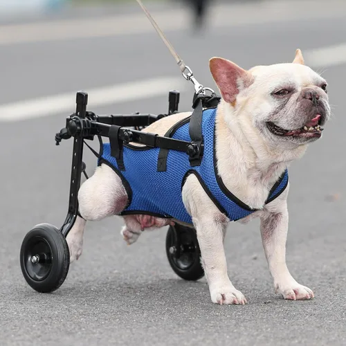 Miniatura 5 de Silla de ruedas ajustable para perros pequeños - Ayuda de movilidad para mascotas discapacitadas, Silla de ruedas para perros pequeños para patas