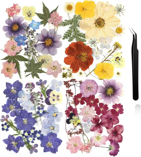 Miniatura 14 de Nuanchu Flores secas prensadas negras para manualidades, flores secas góticas, flores silvestres prensadas naturales a granel con pinzas para molde