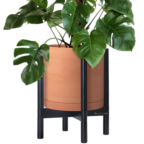 Miniatura 79 de D'vine Dev Maceta de cerámica con soporte de ébano – Maceta redonda moderna de 8 pulgadas con soporte para maceta de madera, color negro, 55-B-M-2