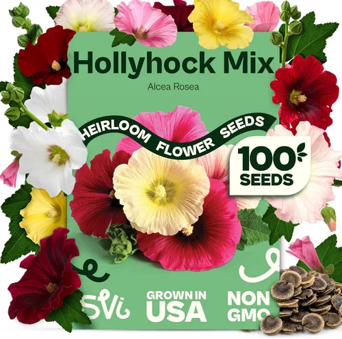 Miniatura 16 de Queen Anne 's Lace- 200 semillas – 50% de descuento venta