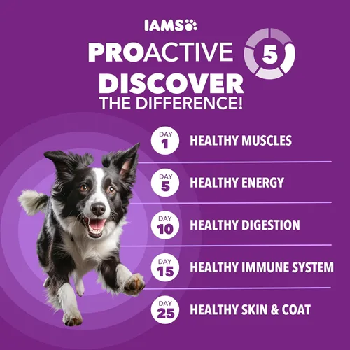 Miniatura 2 de IAMS Advanced Health Mobility Support, alimento seco para perros, pollo y grano entero, receta seca de alimentos para perros adultos, bolsa de 13.5