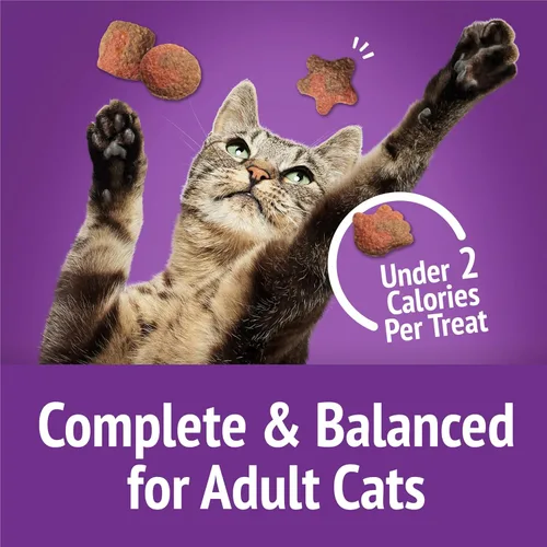 Miniatura 8 de Purina Friskies - Golosinas para gatos, mezcla de salsa crujiente sabor a pavo y salsa (paquete de 6) bolsas de 6 onzas