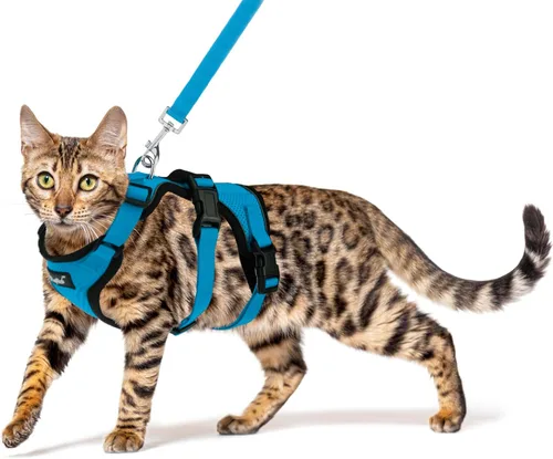 Miniatura 14 de PUPTECK Juego de arnés y correa para gato a prueba de escape para caminar, chaleco de malla transpirable arnés ajustable para gatos cachorros Negro