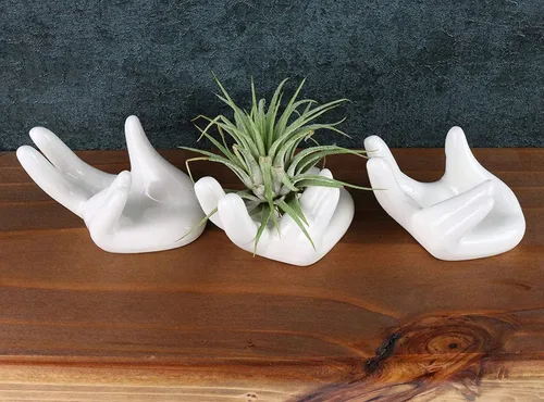 Miniatura 3 de 2 PCS Soporte para Plantas de Aire Lindo Soporte de Cerámica en Forma de Mini Mano Plantas de Aire Tillandsia Contenedor Pequeño Maceta Decoración