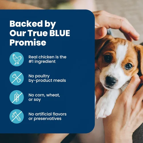 Miniatura 6 de Blue Buffalo Life Protection Formula - Alimento seco para cachorros de raza pequeña con DHA, nutrientes vitales y antioxidantes, hecho