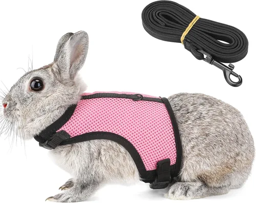PETTOM Arnés para Conejo Conejillo de Indias con Correa Elástica Extensible, Lindo Arnés de Malla Suave para Mascotas Pequeñas, Sin Tirones, Cómodo
