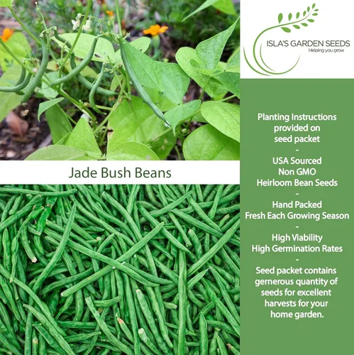Miniatura 2 de Semillas de frijol de jade para plantar, más de 50 semillas de reliquia por paquete, semillas de jardín de Isla (semillas de jardín de Isla)