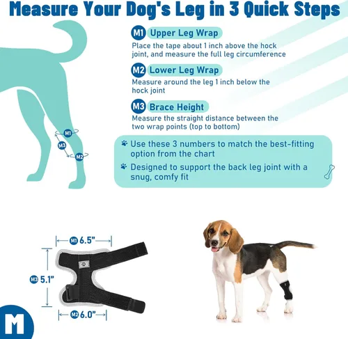 Miniatura 8 de Soportes para patas de perro para patas traseras y delanteras, soporte articular de perro y tobillo para patas traseras débiles con 2 tiras