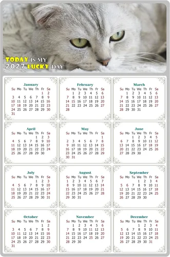Calendario magnético 2025 – Imanes del calendario – Today is my Lucky Day – Resistente a la decoloración, desgarros y agua – Temática de gato 1