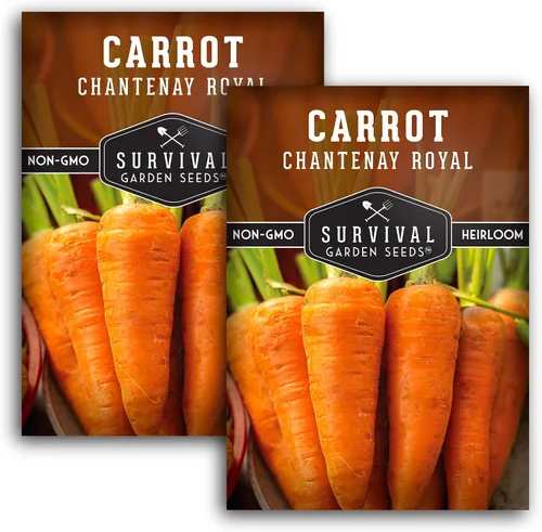 Miniatura 10 de Royal Chantenay - Semillas de zanahoria para plantar, zanahorias cortas tradicionales para suelos pesados, raíces dulces y tiernas para cosechas
