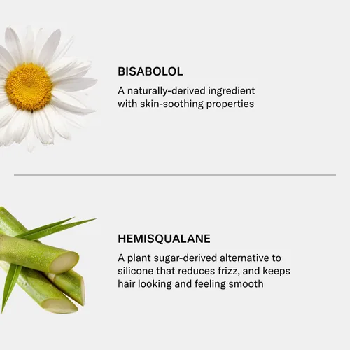 Miniatura 6 de SEEN Acondicionador Eco-Recarga - Acondicionador aromático y no comedogénico y para el cabello, desarrollado por dermatólogos, seguro para pieles