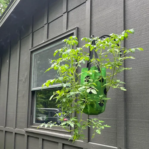 Miniatura 5 de Macetero de tomate al revés de 3 galones, maceta colgante de fresa, bolsas de cultivo de tela de aireación duradera para verduras