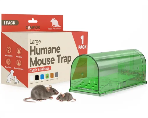 Campior Trampa humana para ratones para casa, tamaño grande, trampas para ratones sin matar para interiores para el hogar, trampa para ratas y