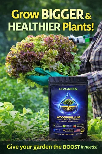 Miniatura 8 de Azospirillum Super Blend, totalmente natural, bio fertilizante, aumenta el crecimiento de las plantas y la masa de raíces, perfecta para nuevas