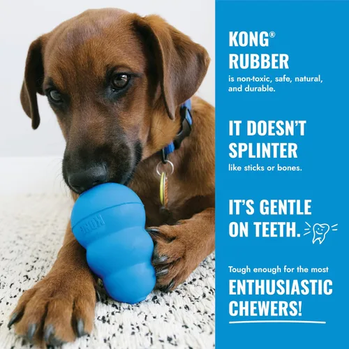 Miniatura 7 de KONG Puppy Goodie Bone - Juguete rellenable para cachorros pequeños - Masticable de goma natural para cachorros - Juguete para dentición - para Hueso