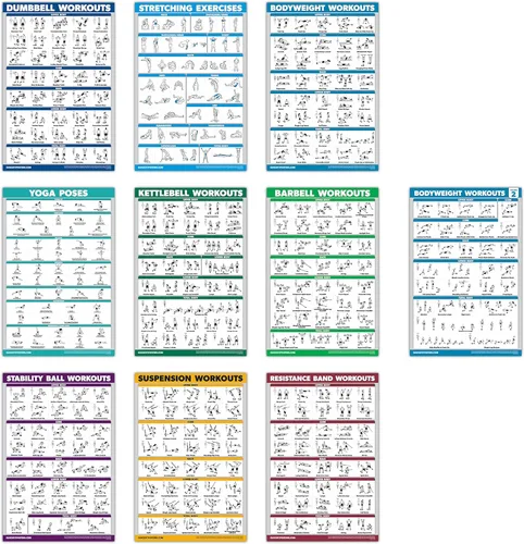 QUICKFIT - Juego de 10 pósteres de entrenamiento de ejercicio, volumen 1 y 2, mancuernas, suspensión, pesas rusas, bandas de resistencia,