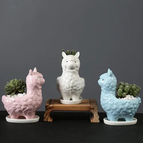 Miniatura 7 de Lependor Bonita maceta para suculentas con bandeja de drenaje, contenedor de cerámica blanca para cactus o flores, soporte para bonsái de alpaca