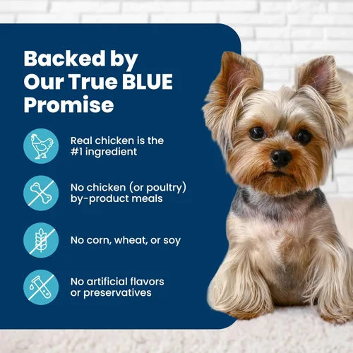 Miniatura 5 de Blue Buffalo - Alimento seco Life Protection de fórmula natural para perros adultos de raza pequeña, con mordiscos pequeños, ayuda a desarrollar