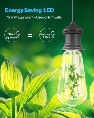 Miniatura 6 de Paquete de 6 bombillas LED Edison vintage residenciales para interiores del atardecer al amanecer, equivalente a 75 W, 850 lúmenes, filamento ST58