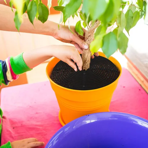 Miniatura 6 de Newtay 2 fundas protectoras de suelo para macetas, protectores de flores cortables contra animales, gatos, ardillas, tapones para excavar plantas