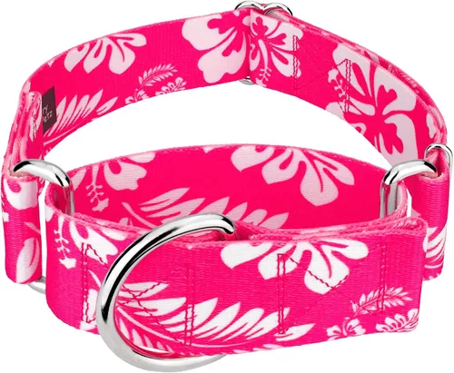 Miniatura 18 de Country Brook Petz HossFit Jr - Collar ancho Martingala para perro, colección Summer Breeze con diseños soleados (Anchors Away, M)
