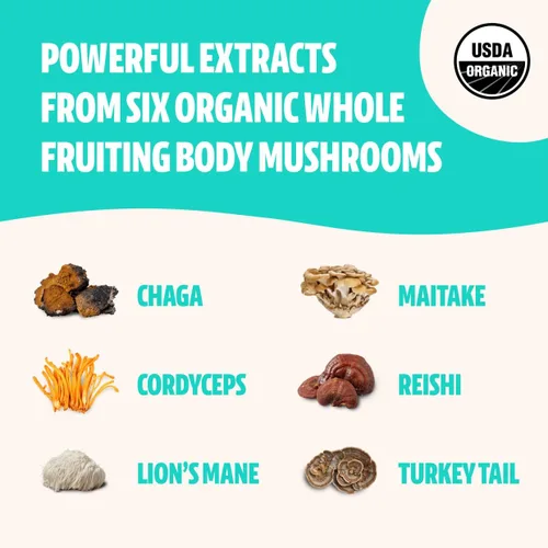 Miniatura 4 de FreshCap Mushrooms Paquete energético (polvo Cordyceps y polvo complejo de hongos definitivo)