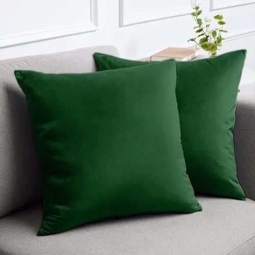 Miniatura 26 de lalaLOOM Juego de 2 fundas de almohada lujosas de terciopelo sedoso, 18 x 18 pulgadas, fundas de almohada decorativas más suaves, cremallera oculta