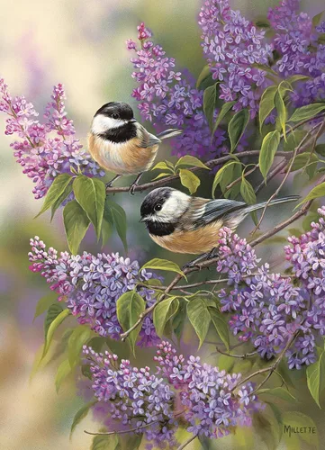 Miniatura 3 de Cobble Hill - Rompecabezas de 1000 piezas - Chickadees and Lilacs - Póster de muestra incluido