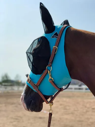 Miniatura 9 de Máscara para caballo Tgw Riding, con orejas, con agarre extracómodo, de malla suave, Azul, M Pacific Blue