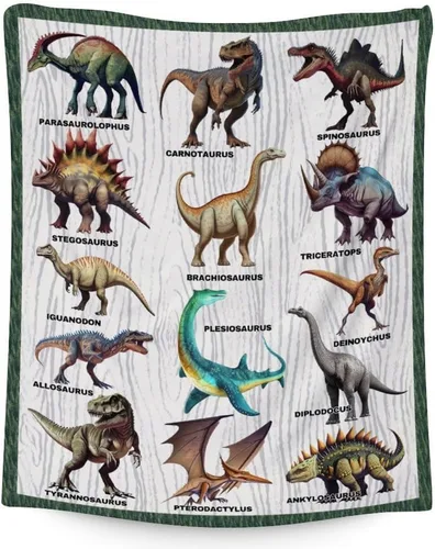 Miniatura 7 de Manta Personalizada para Niños Varones - 40x30 Pulgadas Regalos de Cosas de Dinosaurios Pequeños para Niños, Niños de 4-6 Años, Mantas Temáticas