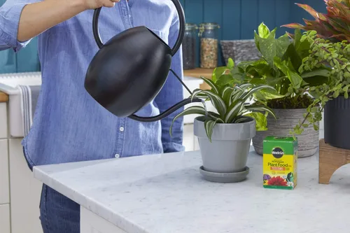 Miniatura 6 de Miracle-Gro Alimento vegetal soluble en agua multiusos de 8 onzas, paquete de 2