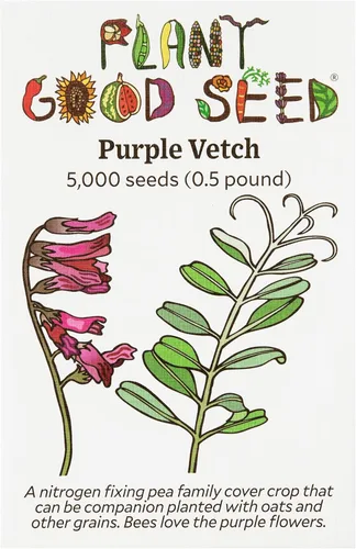 Miniatura 10 de Plant Good Seed Semillas orgánicas de trigo sarraceno, paquete de 125, semillas tradicionales para plantar verduras, granos, brotes, suministros