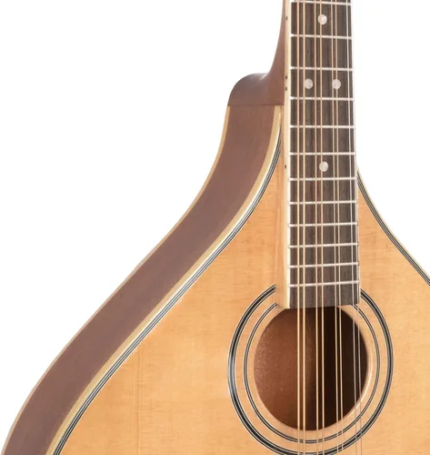 Miniatura 3 de Gold Tone OM-800+ Mandolina de octava (caoba)