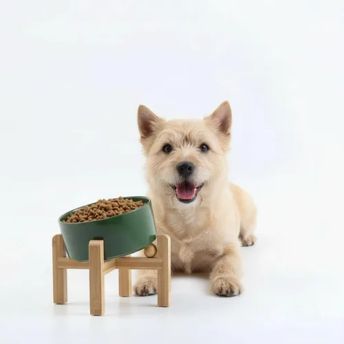 Miniatura 13 de Petygooing Cuenco Elevado/Alzado de Cerámica Inclinado 15° para Perros de Razas Pequeñas y Medianas, Cuenco Inclinado Antideslizante para Verde óxido
