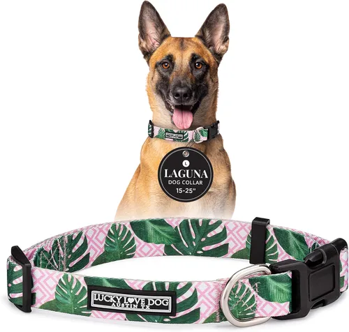 Miniatura 36 de Lucky Love Dog - Collar para perras pequeñas, diseño Blackbird de estampado alegre con flores de primavera y verano, talla XS