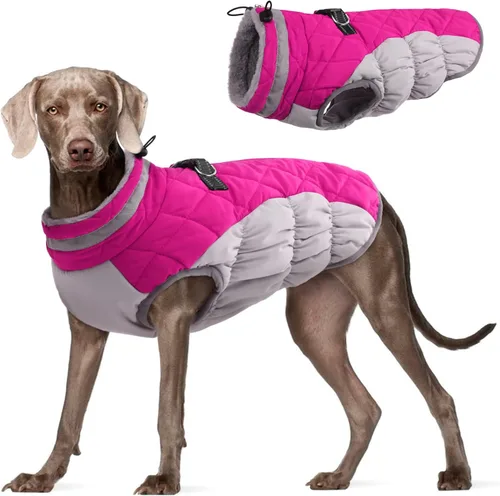 Miniatura 36 de FUAMEY - Chaqueta de invierno para perro, chaleco acolchado con arnés, ropa cálida para mascotas, abrigo con cremallera, impermeable, para perros