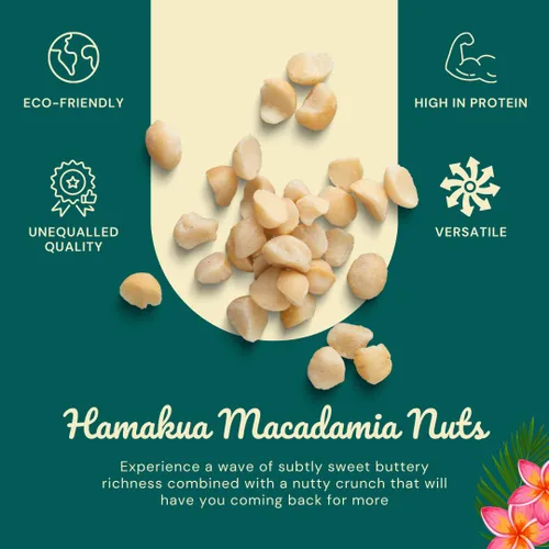 Miniatura 4 de Hamakua Macadamia Nuts – Coco glaseado dulce – Cultivado en Hawai saborizado seco tostado medio y macadamia entera – Nueces de macadamia grandes