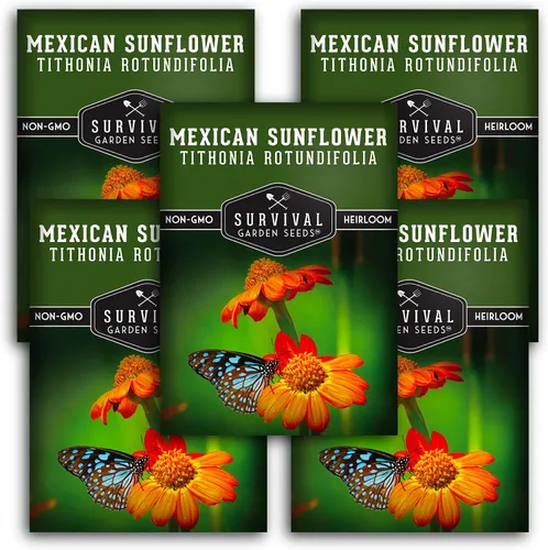 Survival Garden Seeds - Semillas de girasol mexicano para plantar - 5 paquetes con instrucciones para plantar y cultivar Tithonia Rotundifolia en tu