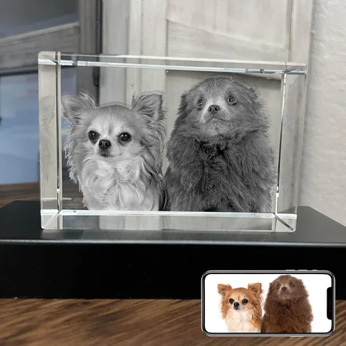 Miniatura 7 de Foto de cristal 3D personalizada, regalos conmemorativos para perros y gatos personalizados para dueños de mascotas. Caja de regalo incluida, foto