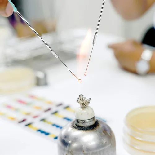 Miniatura 7 de Hotop 2 Piezas Asa de Inoculación Micología Asa de Inoculación Reutilizable con 90 Asas de Inoculación de Nicromo Metálicas Reemplazables Varilla