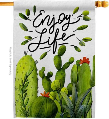 Breeze Decor Cactus Life House Bandera Regional Suroeste Desierto País Suculenta Decoración de Área Particular Banner Pequeño Jardín Patio Regalo
